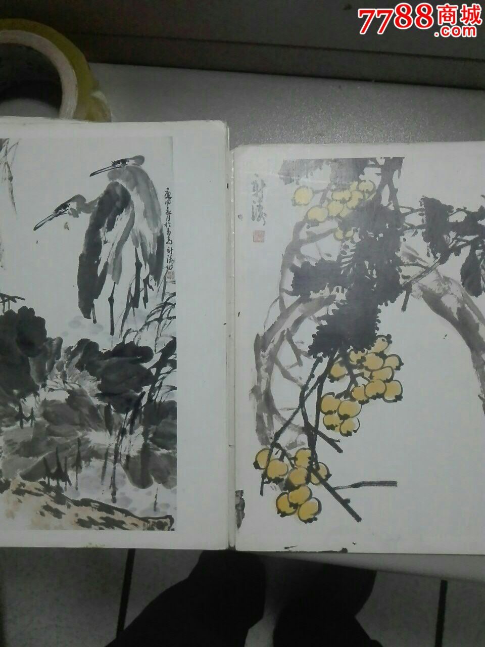 宋新涛画选