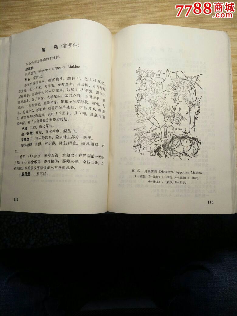 青海常用中草药手册2