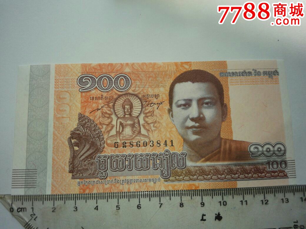 柬埔寨100元(别人说的)