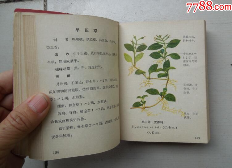 福建中草药(第一册)