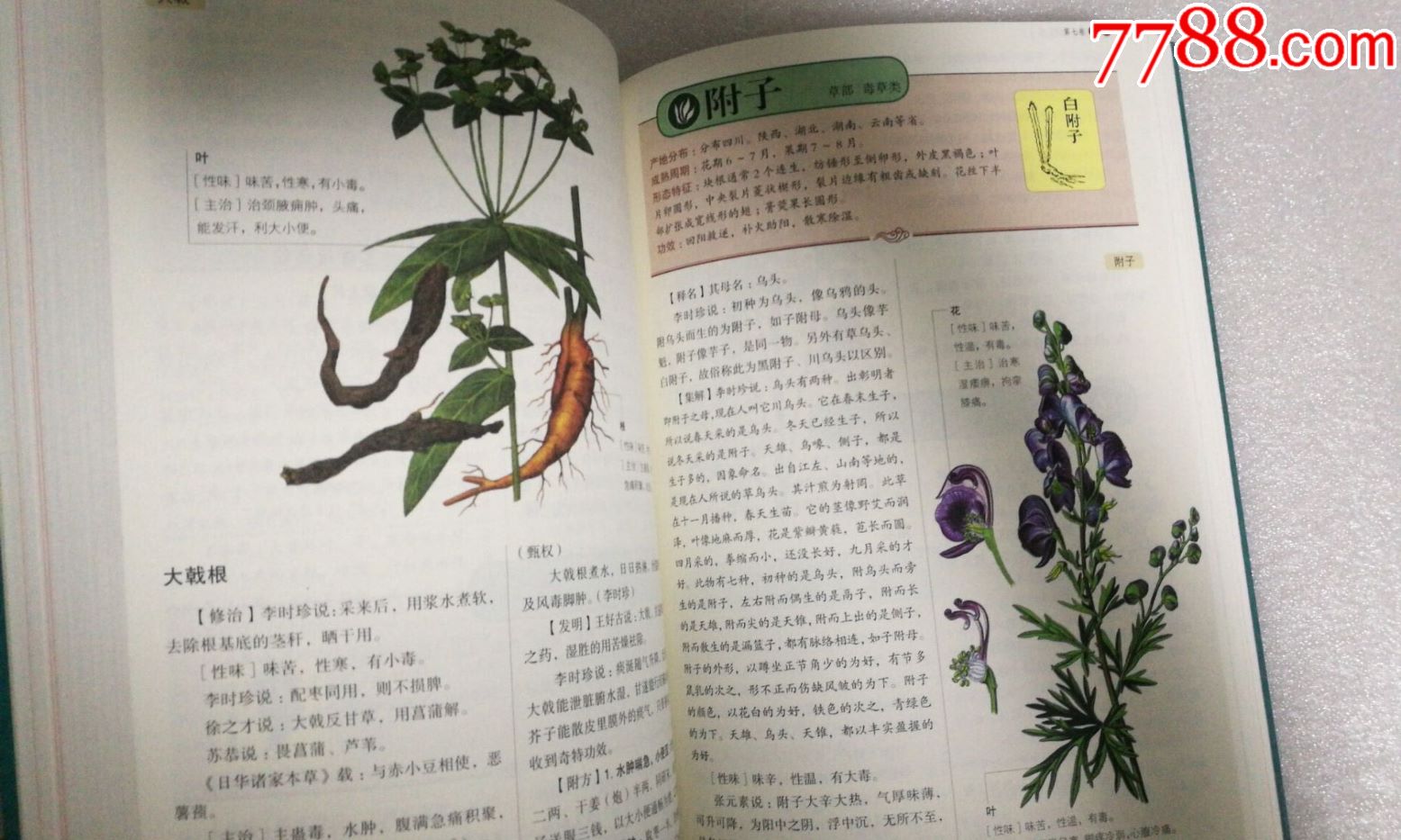 彩版【本草纲目】图解