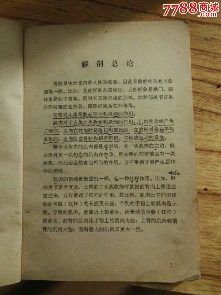 艺用人体结构_价格3.0000元_第6张_7788收藏__中国收藏 ...