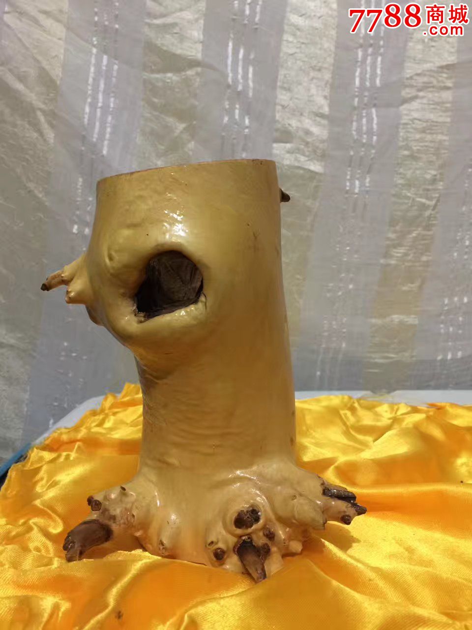 新疆哈密拐枣木