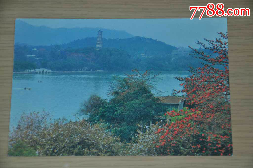 明信片单片-惠州西湖(90年代邮资片)