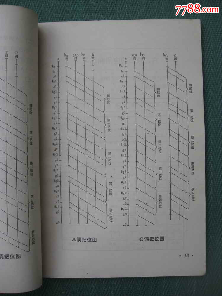 1973年《琵琶弹奏法》