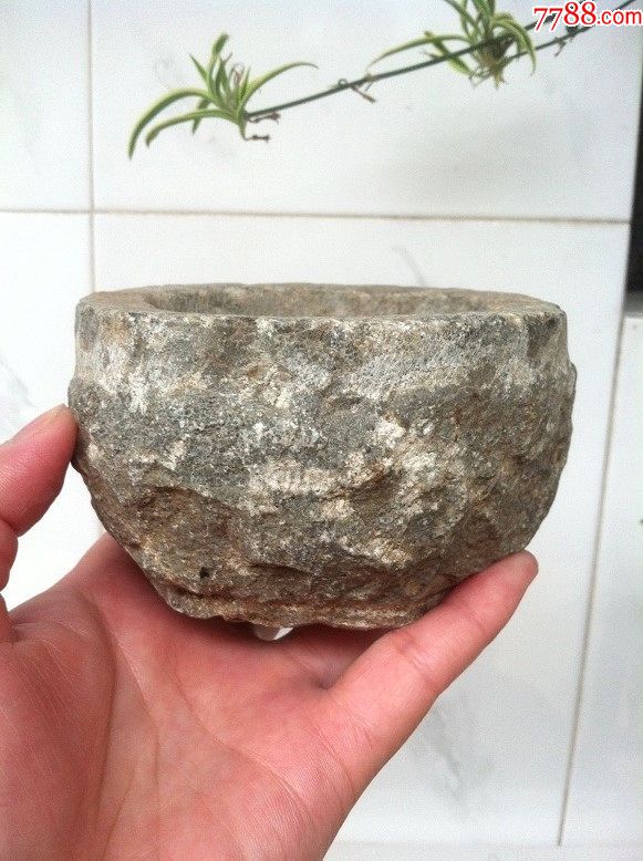 明清小石盆菖蒲盆