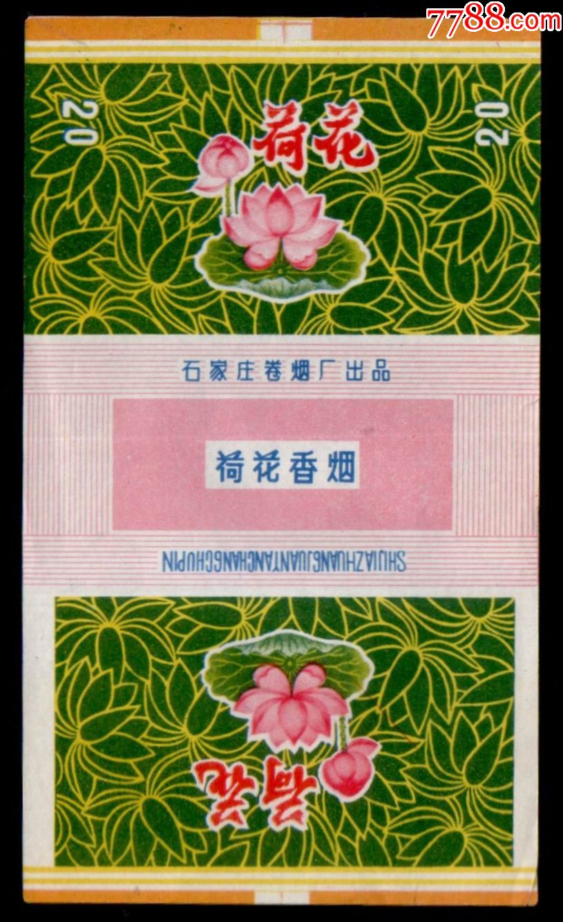 荷花3