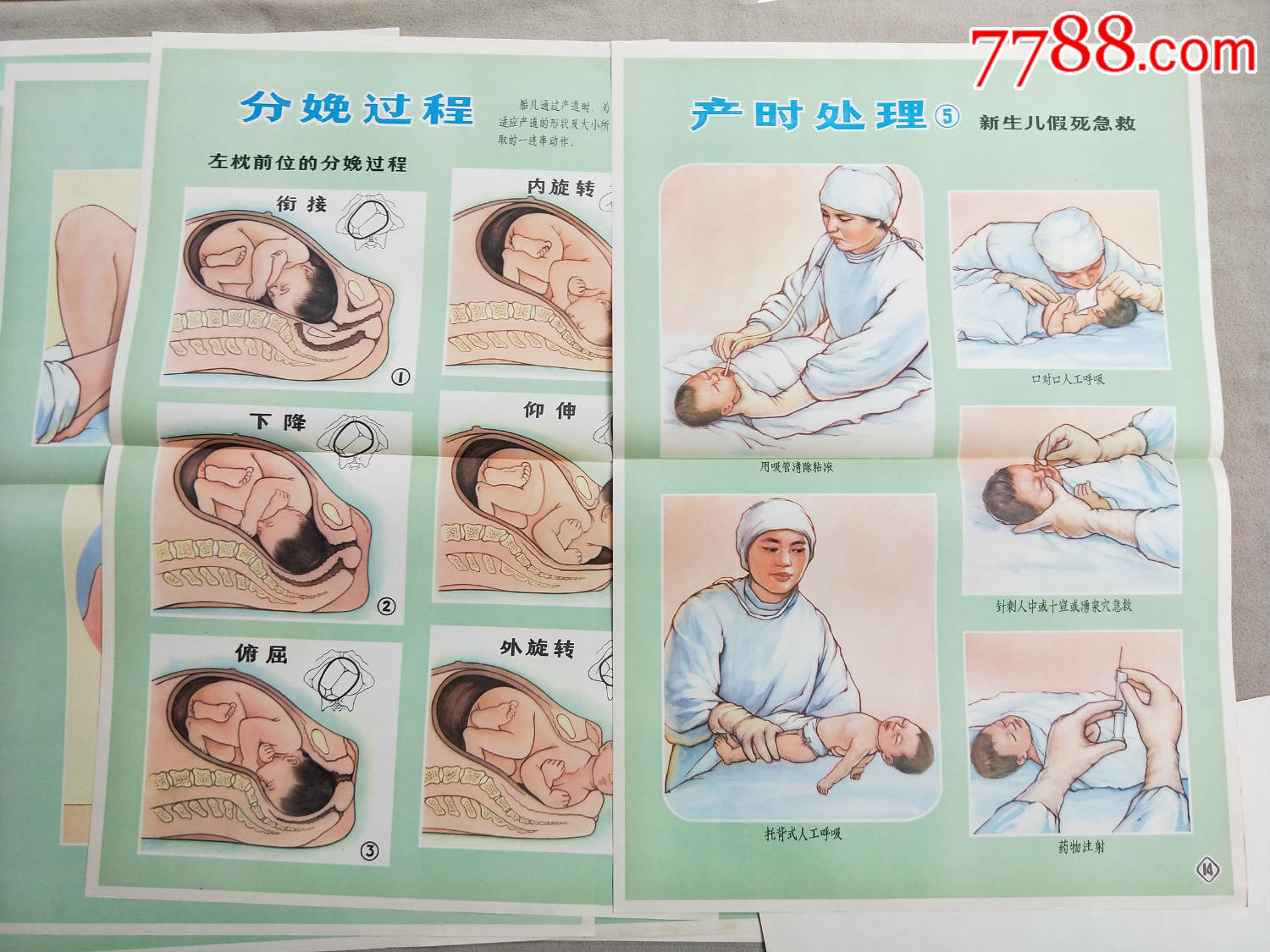 新发接生挂图,20张一套,都是对开