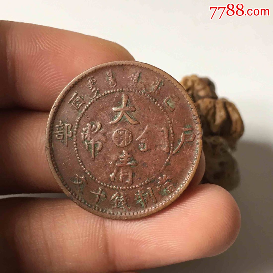 已酉鄂十文/宣统单冠龙类/八角龙