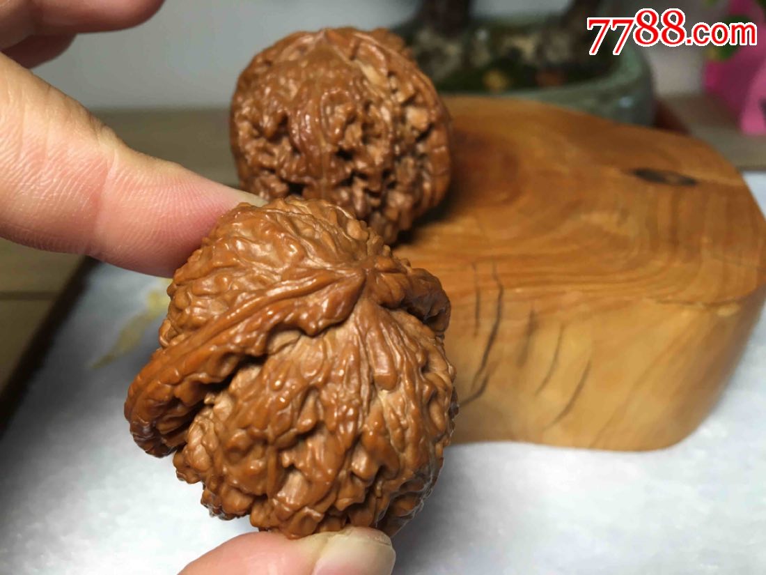 文玩核桃白狮子头,2015年下树