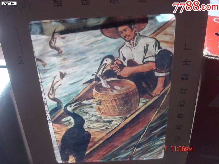 幻灯片---鸬鹚:2.全
