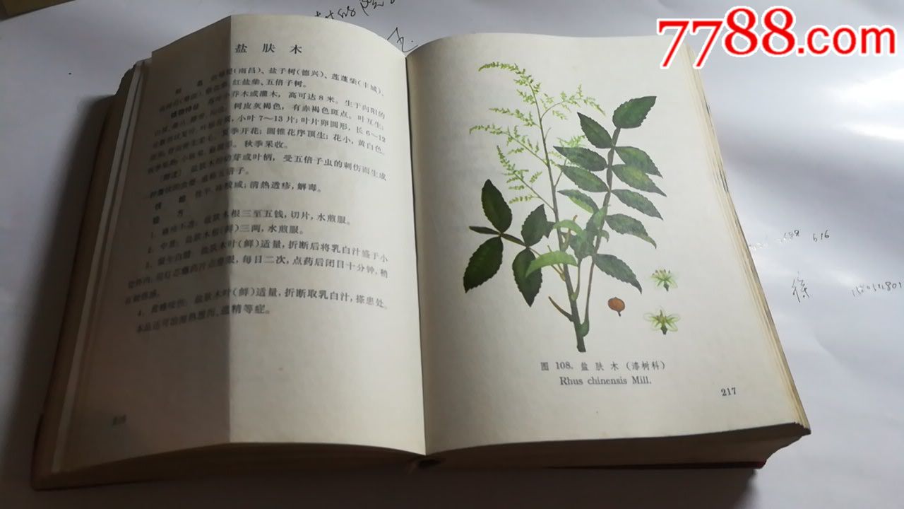 大本彩色版《江西草药》