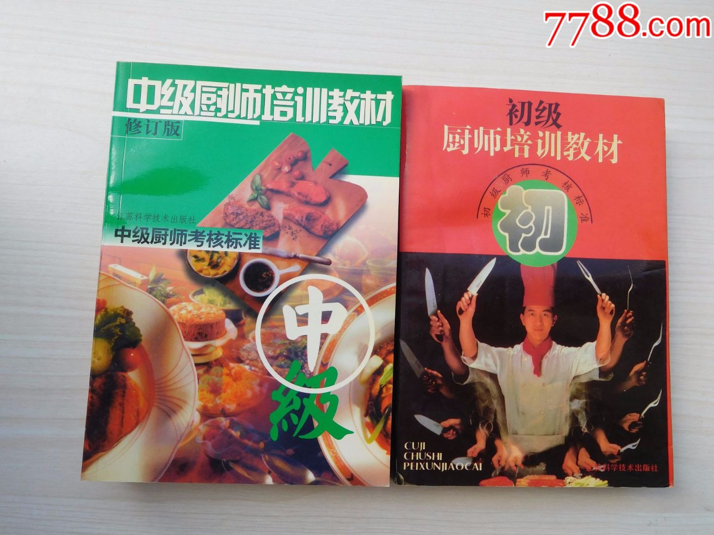初级厨师培训教材:初级厨师考核标准+中级厨师