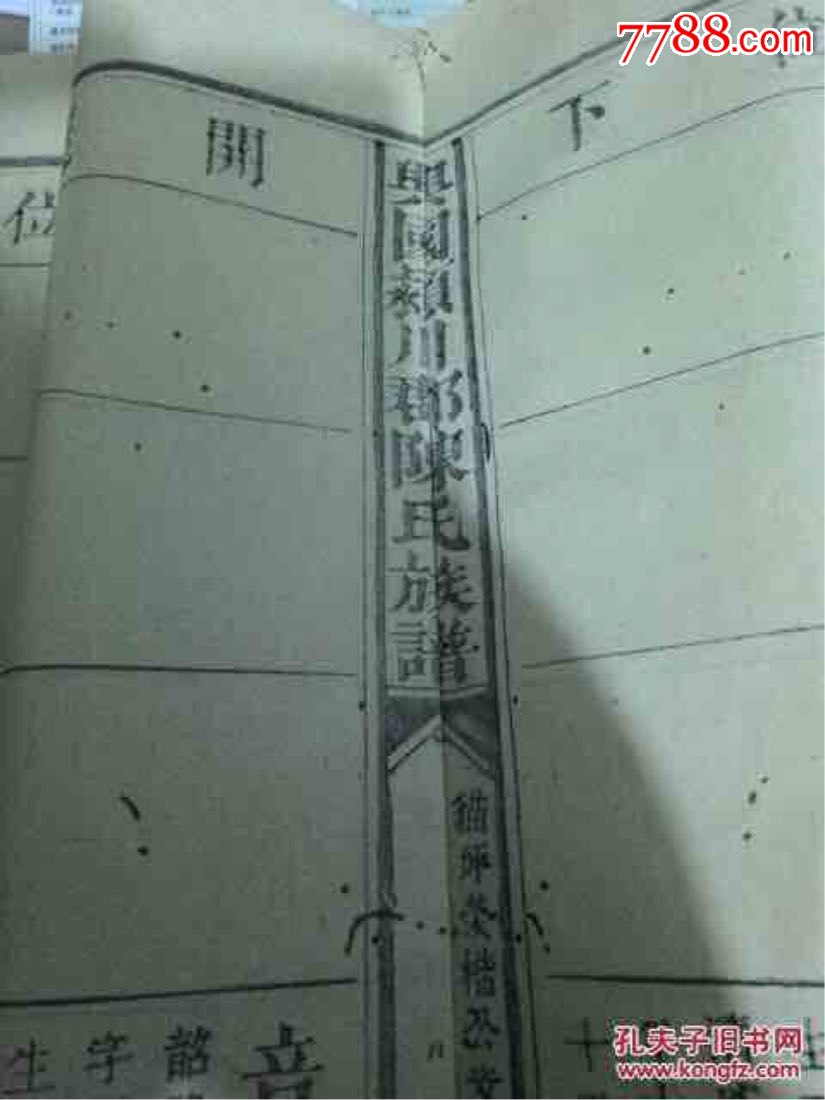 晚清__民国时期颍川郡陈氏族谱超大超厚本