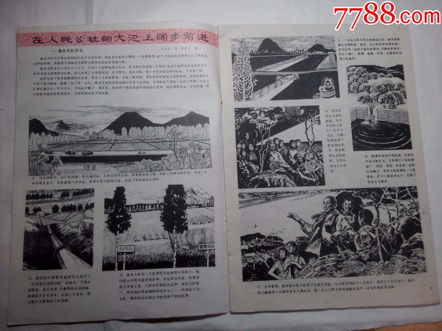 河北画刊(1978年第8期)