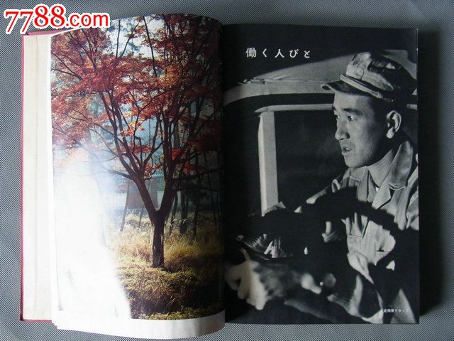 特价低价书籍旧书收藏文化教育(日本地理老书