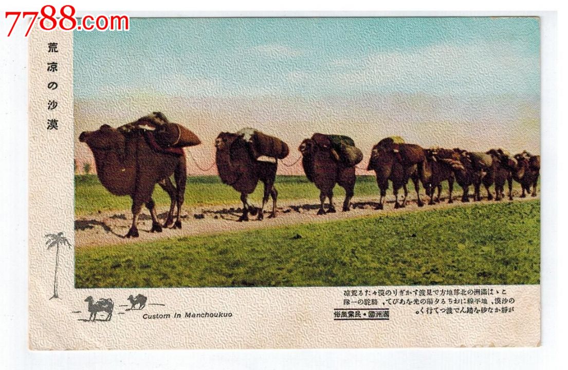 30年代满洲国民众风俗明信片8全带封套街景小