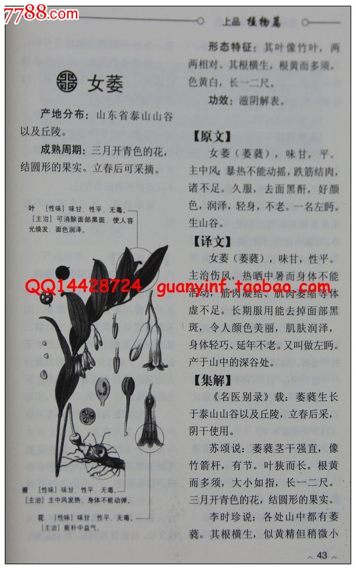 本草经》健康大学堂编委会著368页精解诠释百