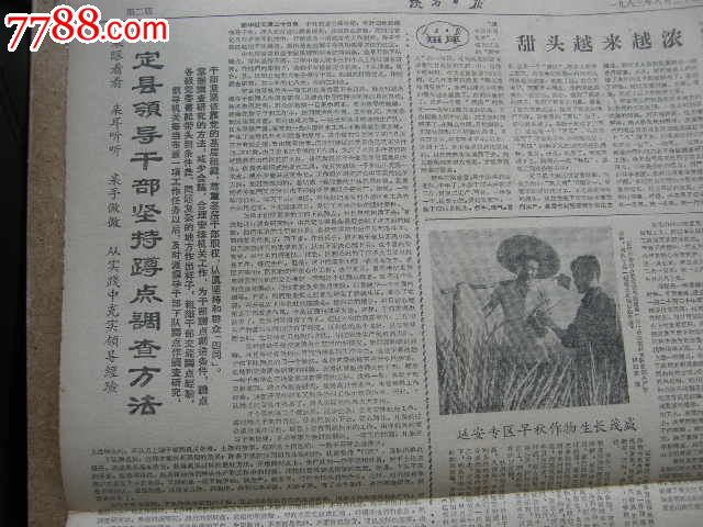 陕西日报---毛主席是黑人.定县领导干部坚持蹲
