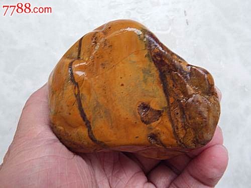 黑黄条纹石_其他奇石_万岁堂【7788收藏__中