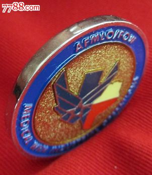 外国纪念章(美国空军医疗服务产业)_其他徽章