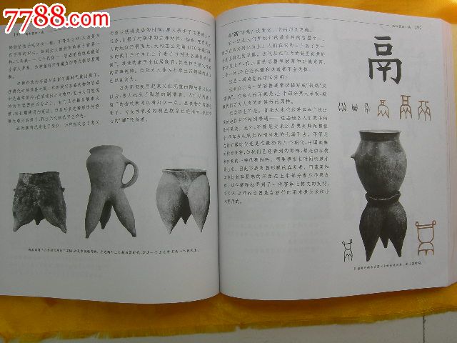 汉字王国图片
