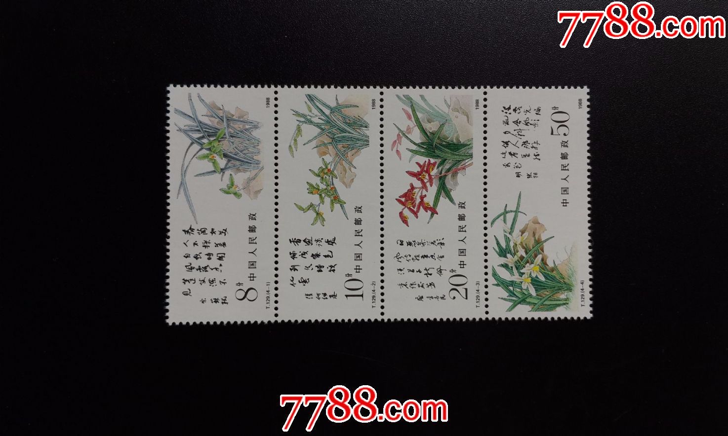 t129兰花(2)-价格:14元-se50424206-新中国邮票-零售-7788收藏__收藏