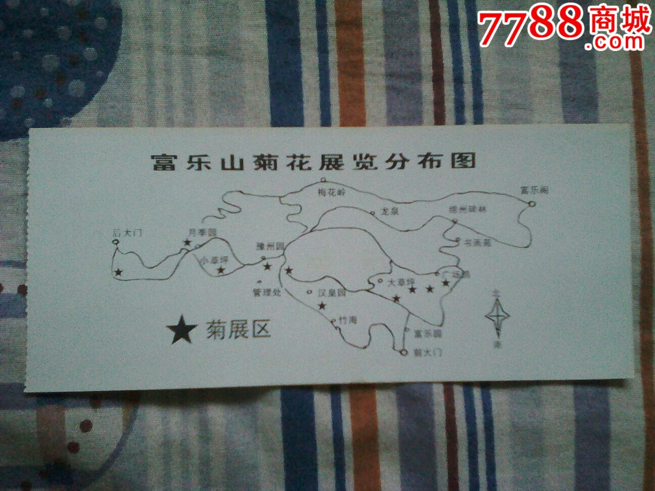 富乐山菊展