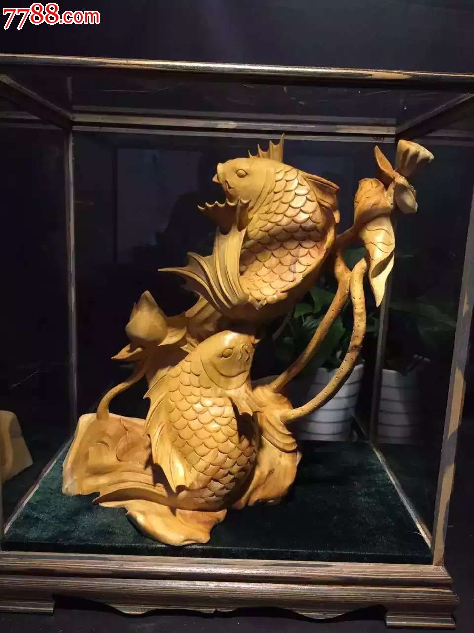 新品连年有鱼39