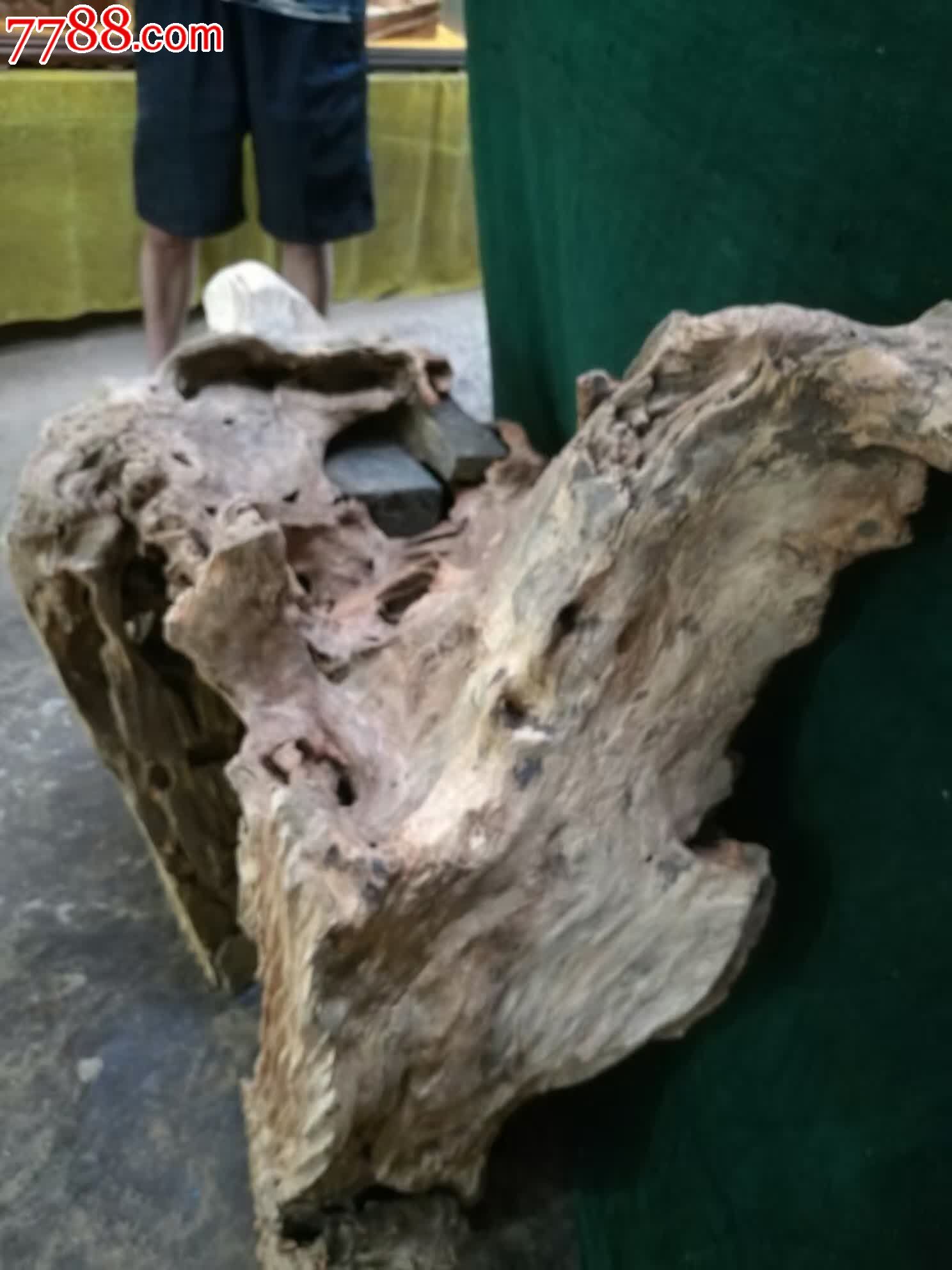 悟香樟风化树头根包青_其他根雕/木雕_根艺堂【7788收藏__中国收藏