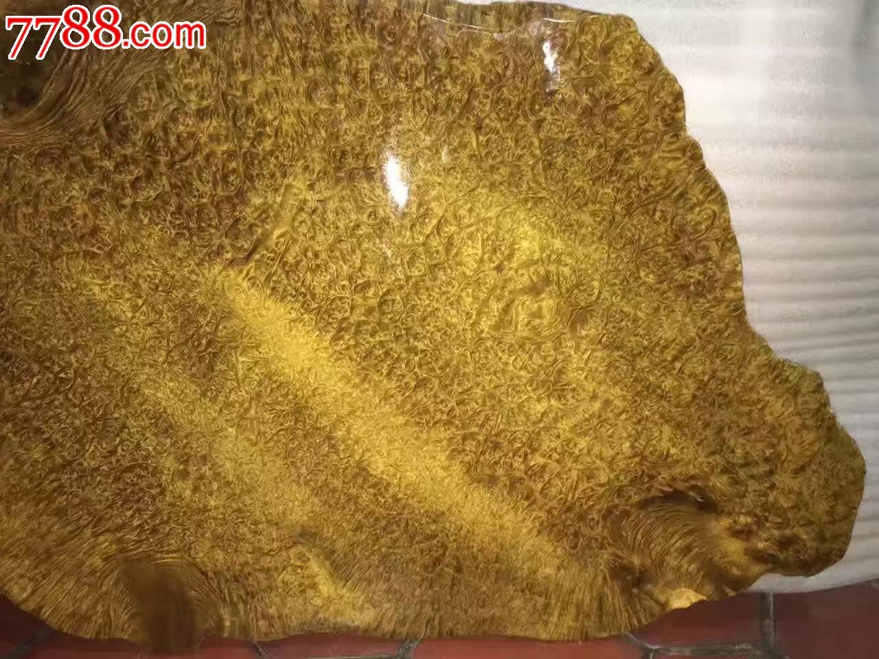 黄金樟板超大未加工可