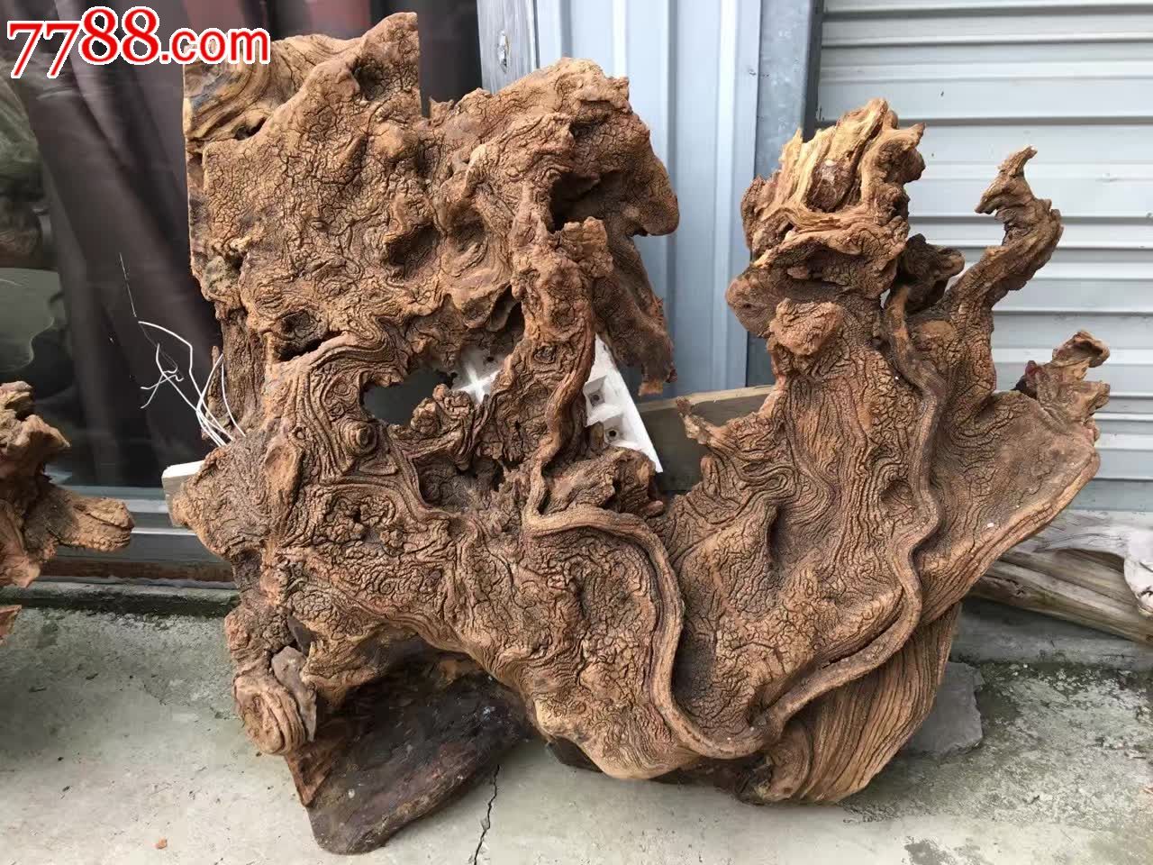 顶级崖柏30左右