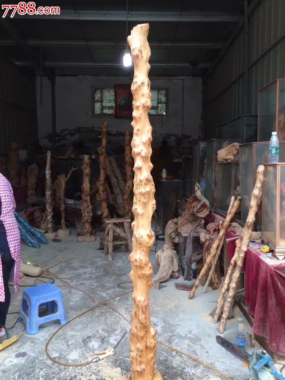 太行崖柏极品满瘤整根