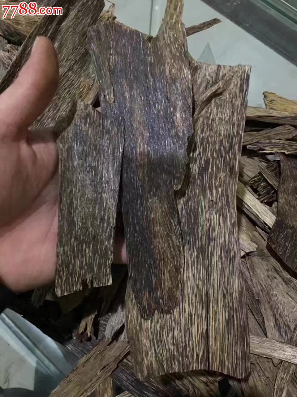 加里曼丹纯野生烟片到