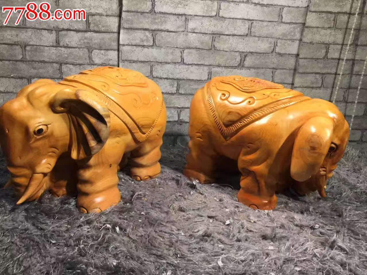 精品大象大象力大无穷