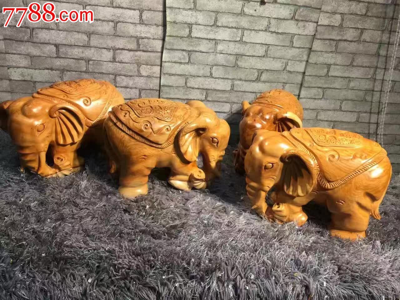精品大象大象力大无穷