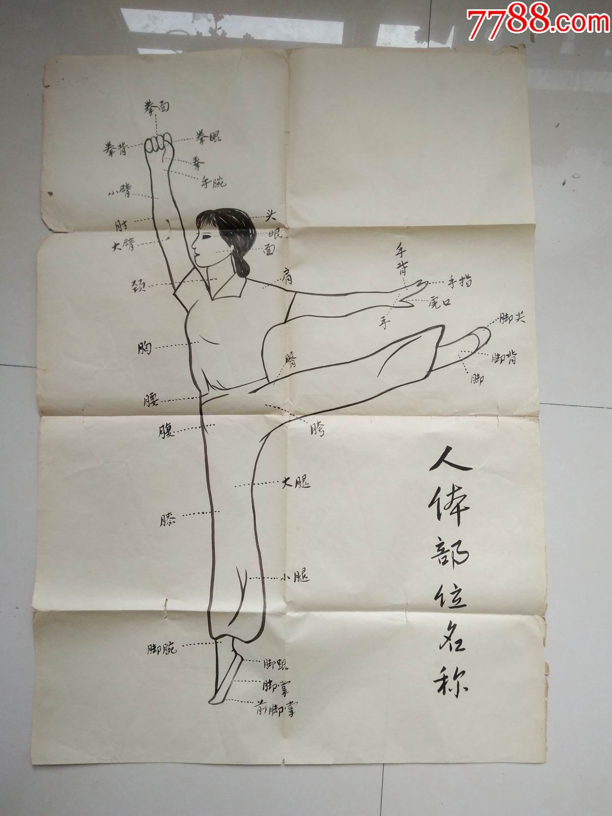 人体部位名称(文革样板戏舞蹈动作)