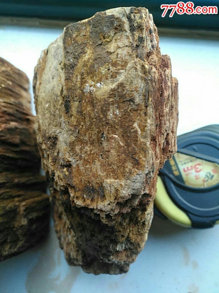 木化石原石5-au15941884-硅化木/木化石-加价-7788收藏__中国收藏热线