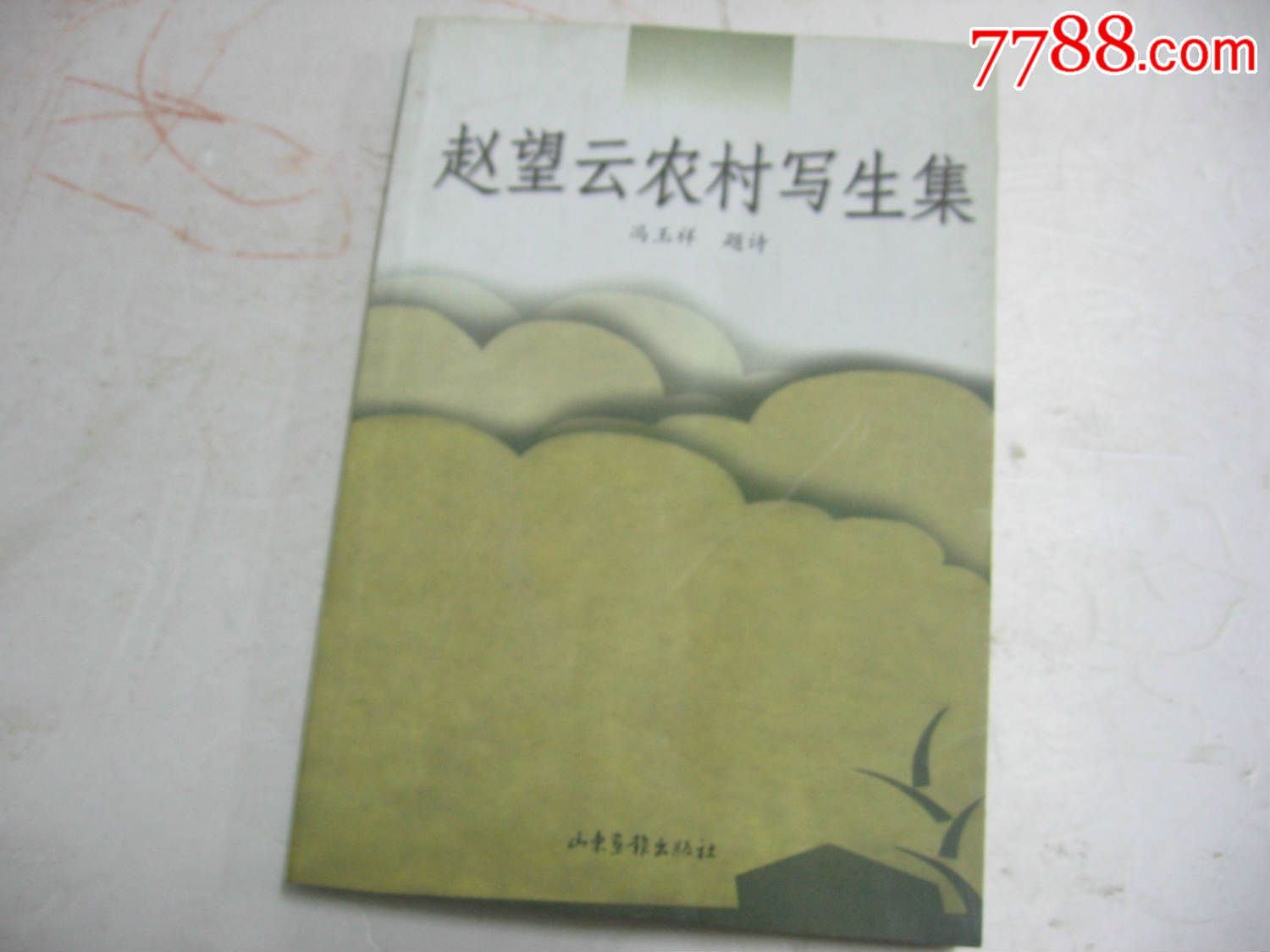 赵望云农村写生集