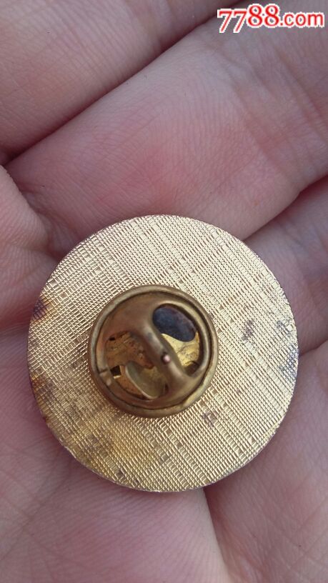 北京陈经纶中学-价格:10元-au16356427-校徽/毕业章 -加价-7788徽章