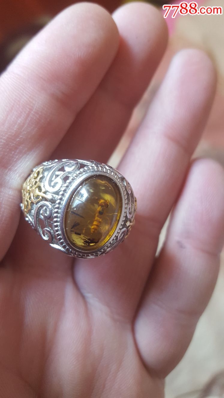 煤黄戒子(金珀带虫)
