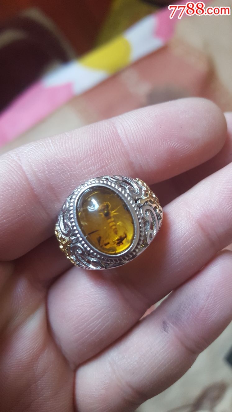 煤黄戒子(金珀带虫)