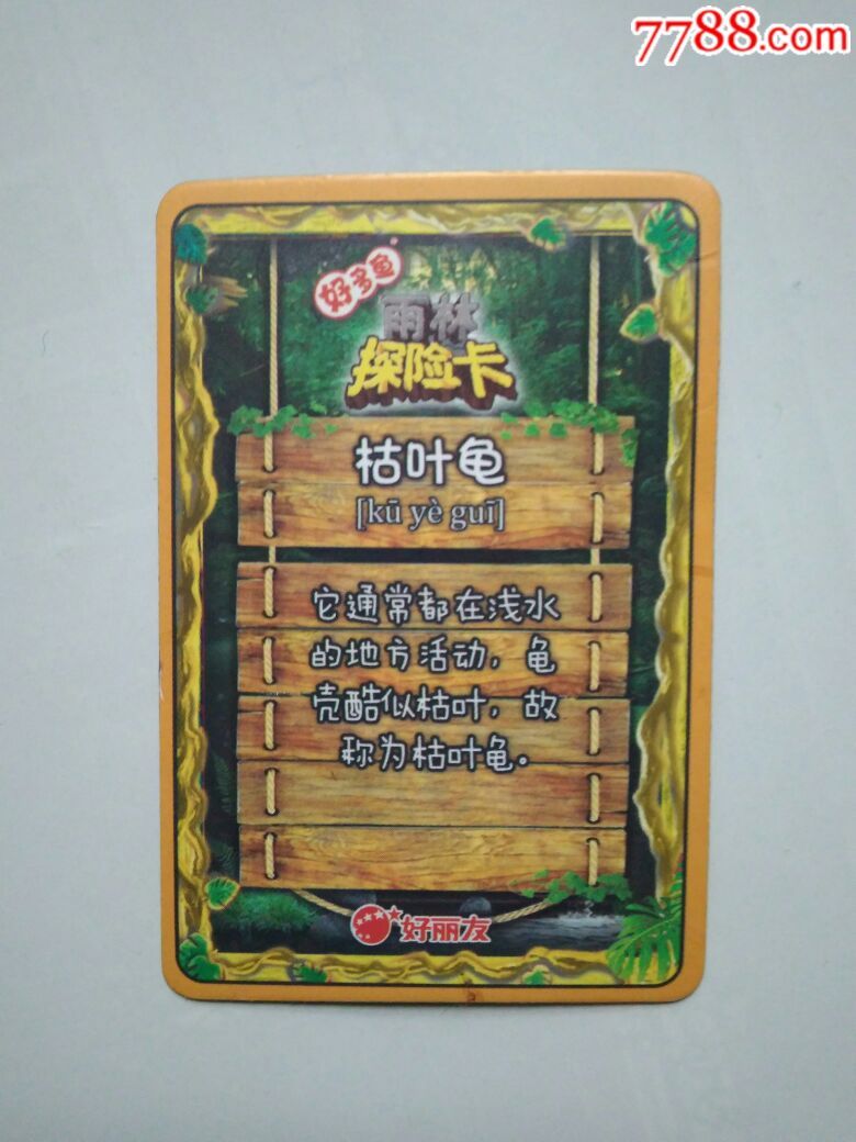 好丽友枯叶龟