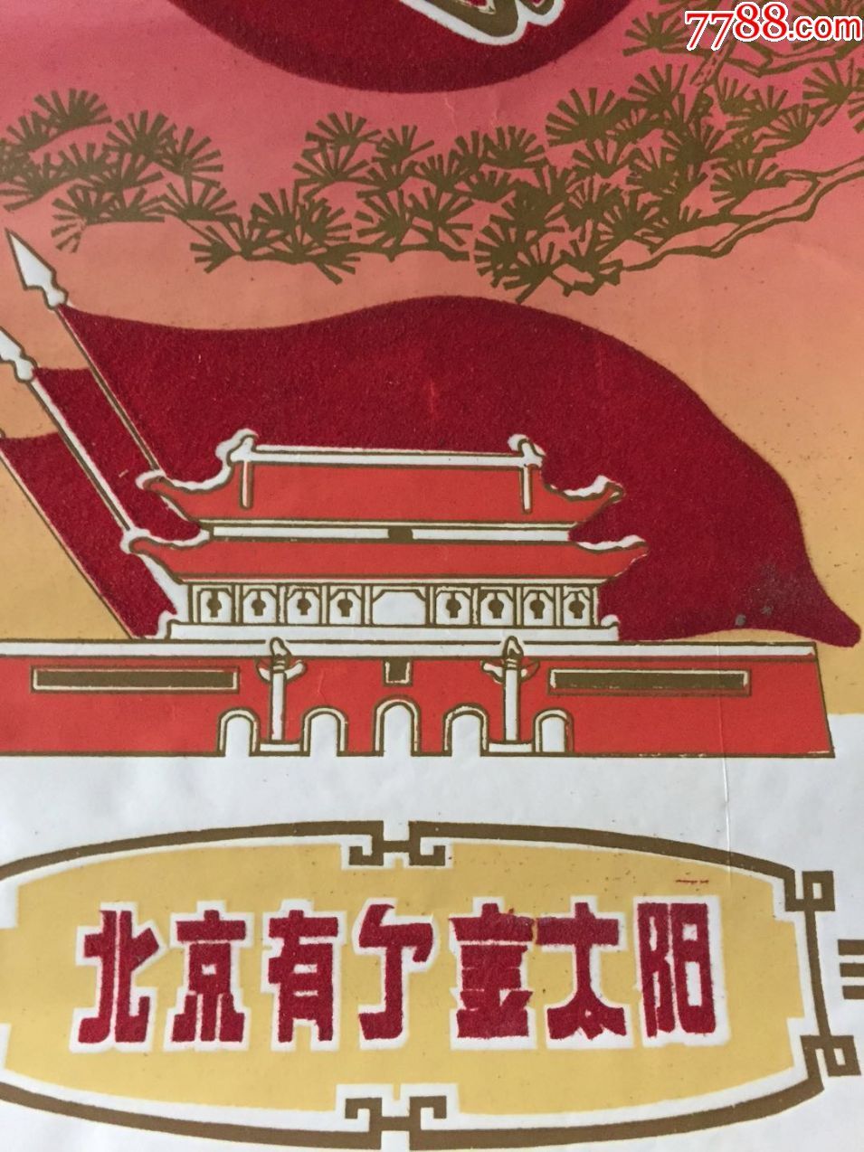 植绒的!北京有个金太阳