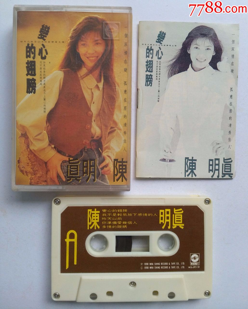 陈明真-变心的翅膀