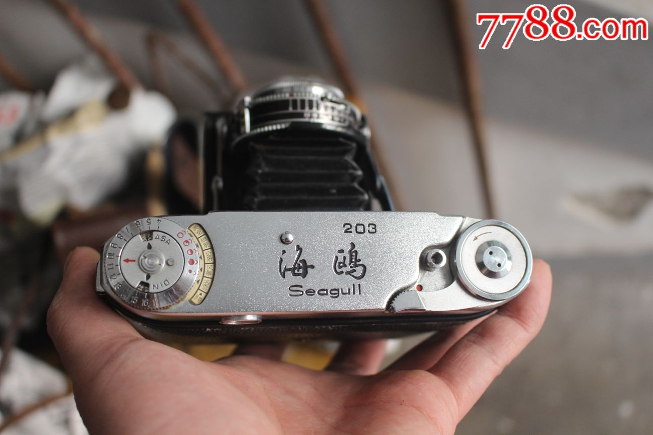 海鸥203——大波轮-au16677675-单反相机-加价-7788收藏__中国收藏