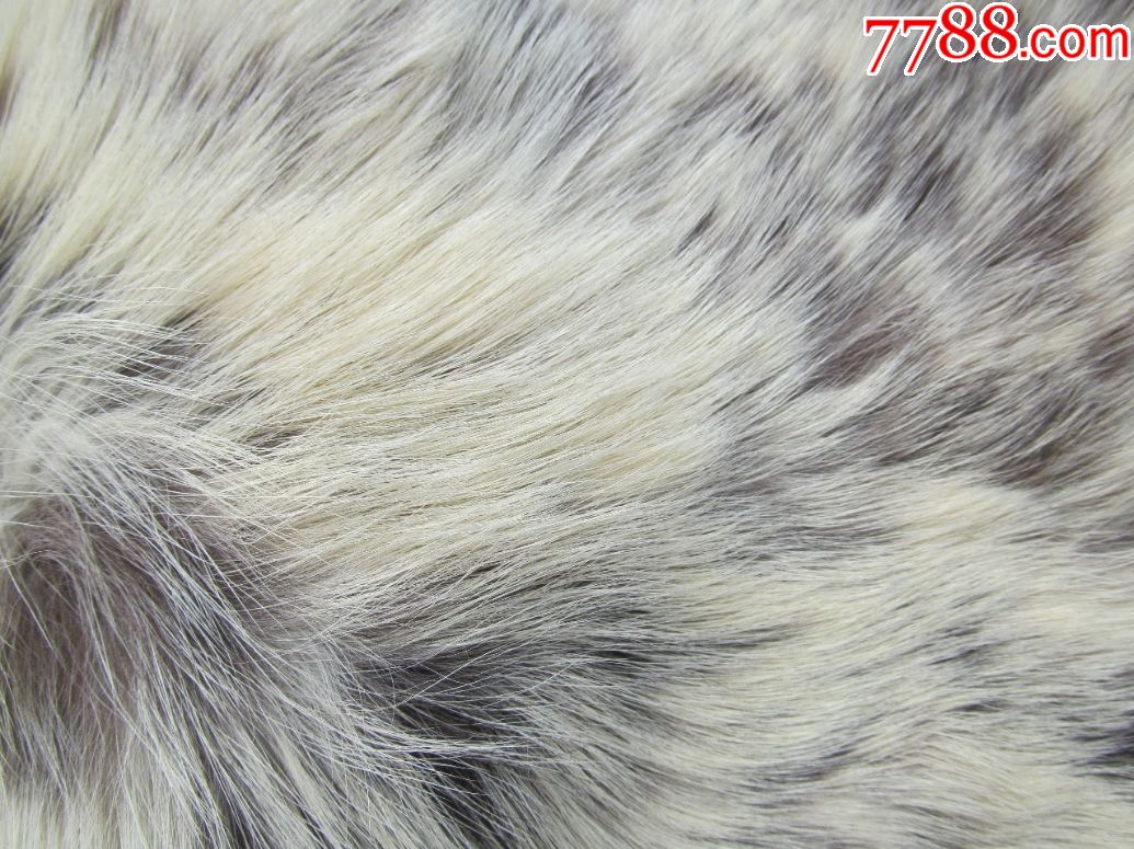 两块不错的狗皮