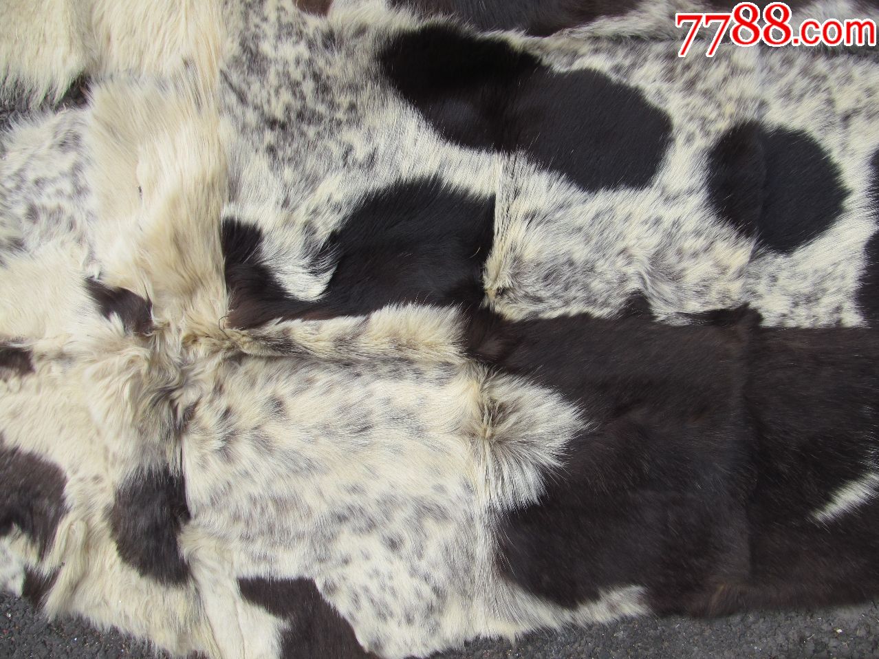 两块不错的狗皮