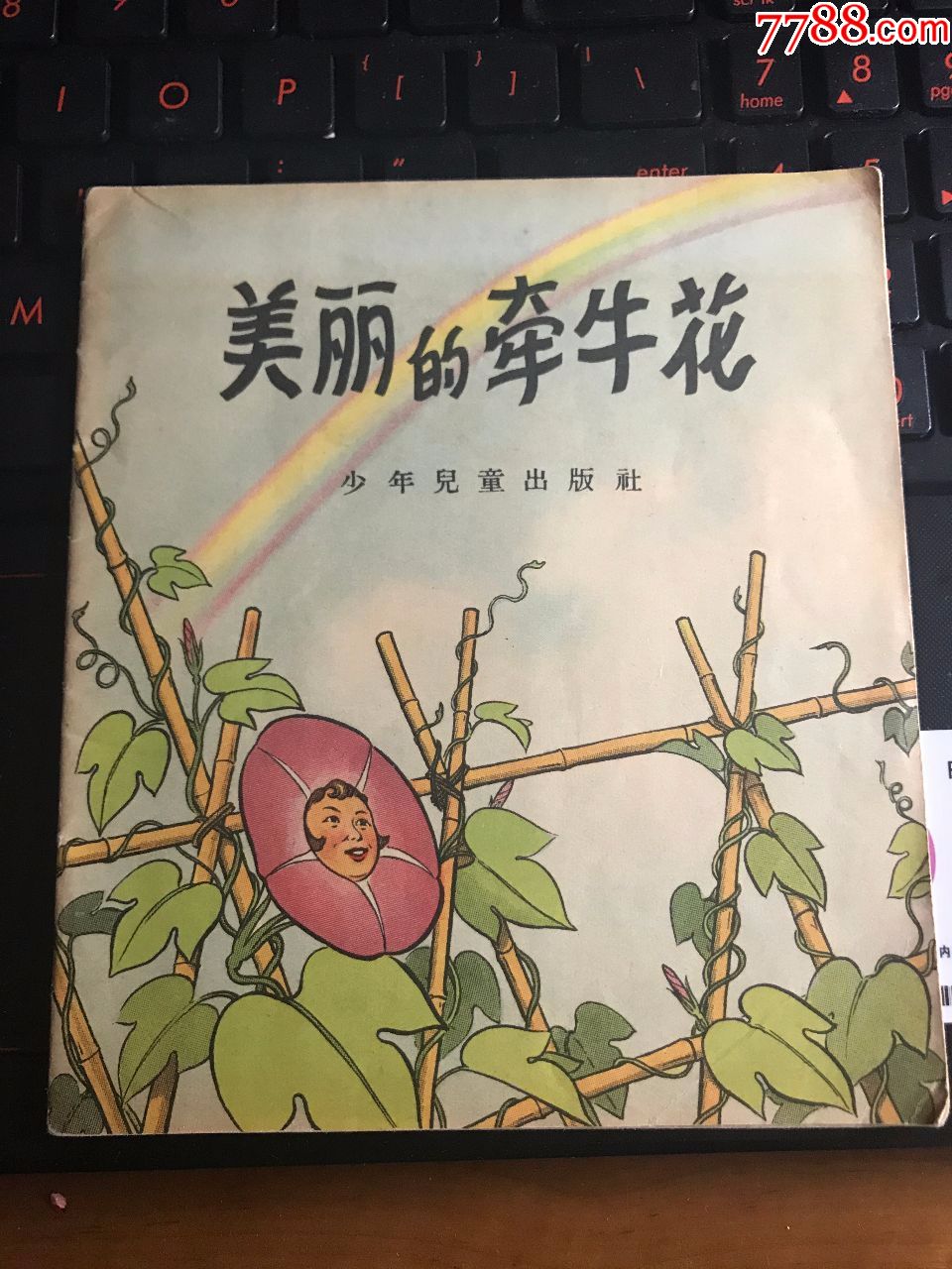 美丽的牵牛花