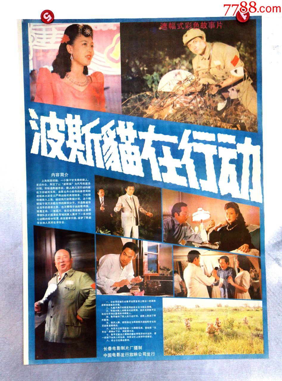 波斯猫在行动(暗杀陈毅)-电影海报-7788旧货商城